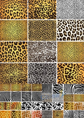 动物毛皮花纹背景矢量图